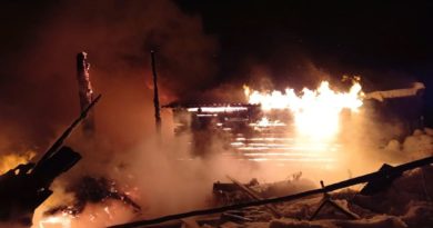 Пожар в селе Курьи на ул. Ворошилова