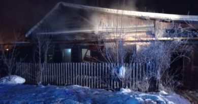 Пожар в с. Курьи на ул. Куйбышева