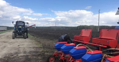 Посев кукурузы на полях совхоза «Знаменский»