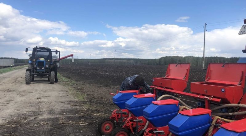 Посев кукурузы на полях совхоза «Знаменский»