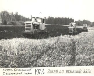 Уборочная на полях совхоза «Сухоложский» 1977 г.